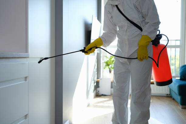 Certified Mold Removal in Murphys Estates, SC